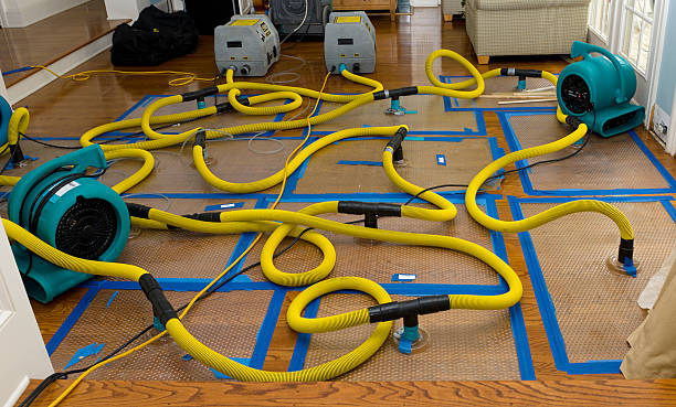 Professional Crawl Space Water Removal technician working in Crestwood, IL